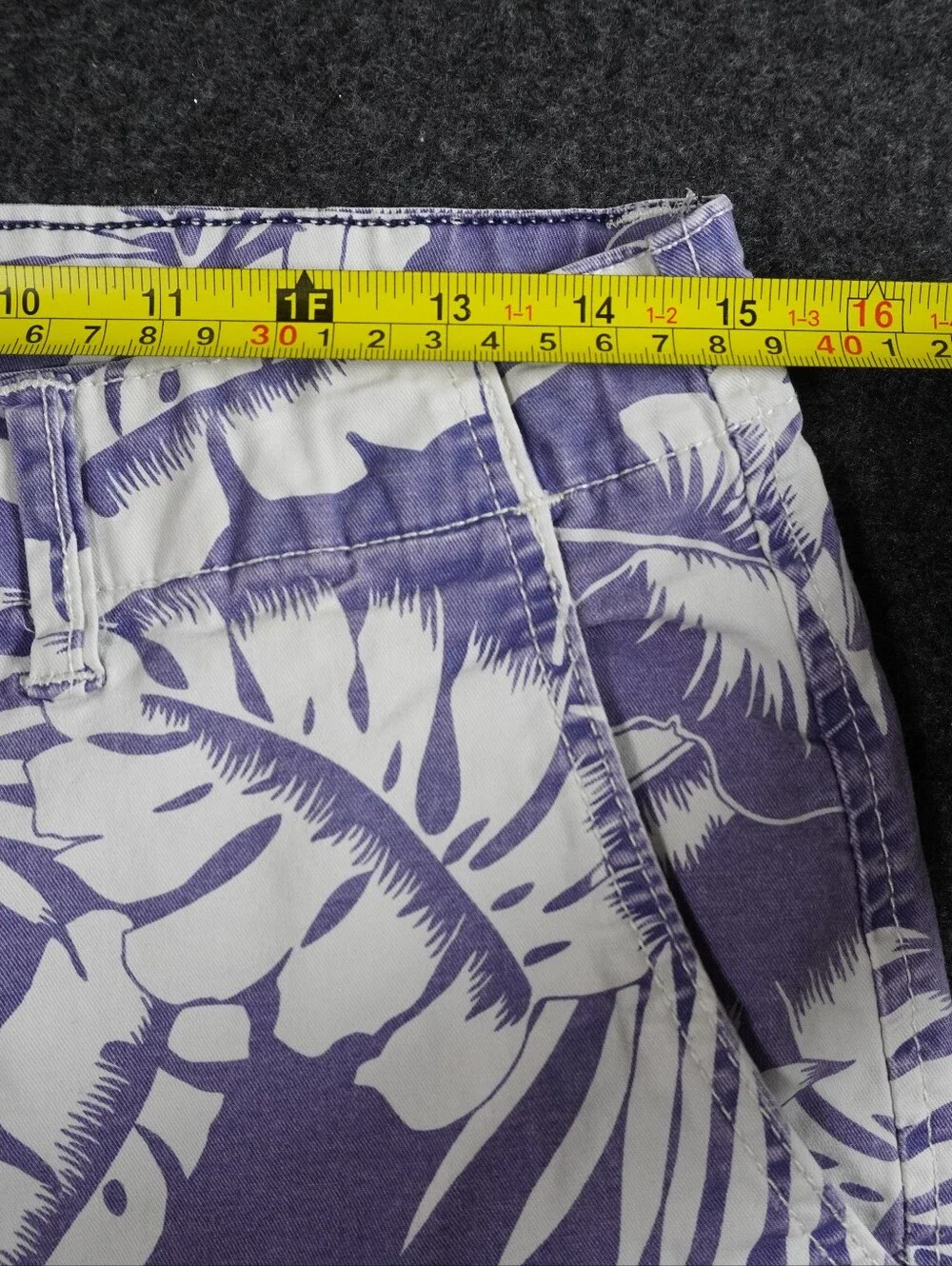 American Eagle Tropical Palm Print Chino Shorts Size 30